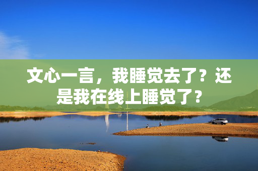 文心一言，我睡觉去了？还是我在线上睡觉了？