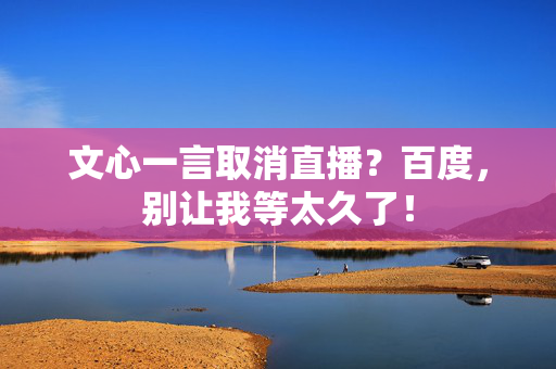 文心一言取消直播？百度，别让我等太久了！