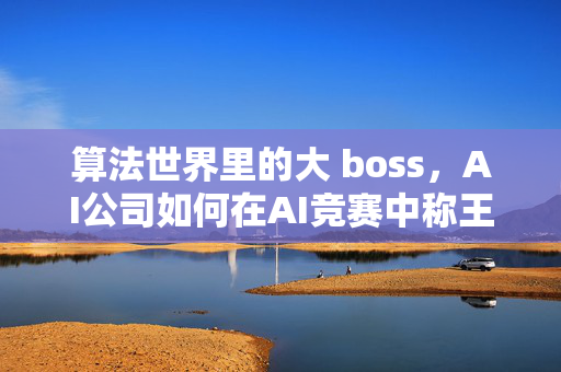 算法世界里的大 boss，AI公司如何在AI竞赛中称王称后？