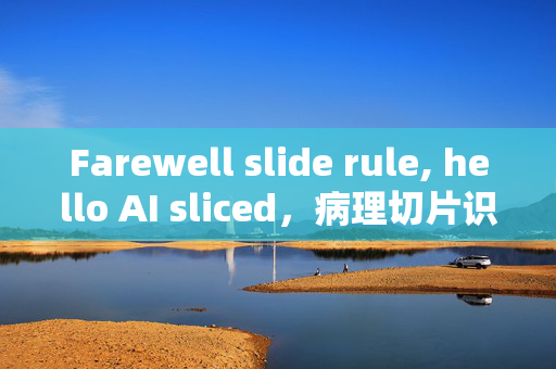 Farewell slide rule, hello AI sliced，病理切片识别AI模型的崛起