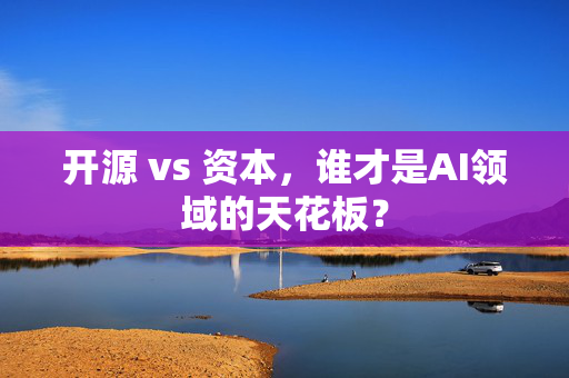 开源 vs 资本，谁才是AI领域的天花板？