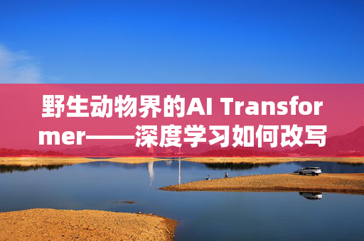 野生动物界的AI Transformer——深度学习如何改写生态诗篇