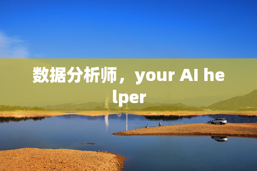 数据分析师，your AI helper