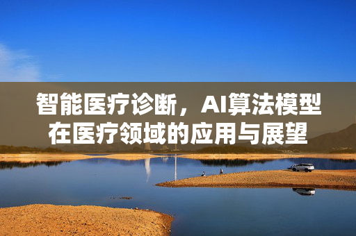 智能医疗诊断，AI算法模型在医疗领域的应用与展望