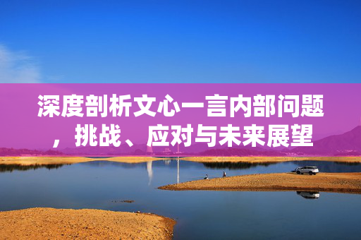 深度剖析文心一言内部问题，挑战、应对与未来展望